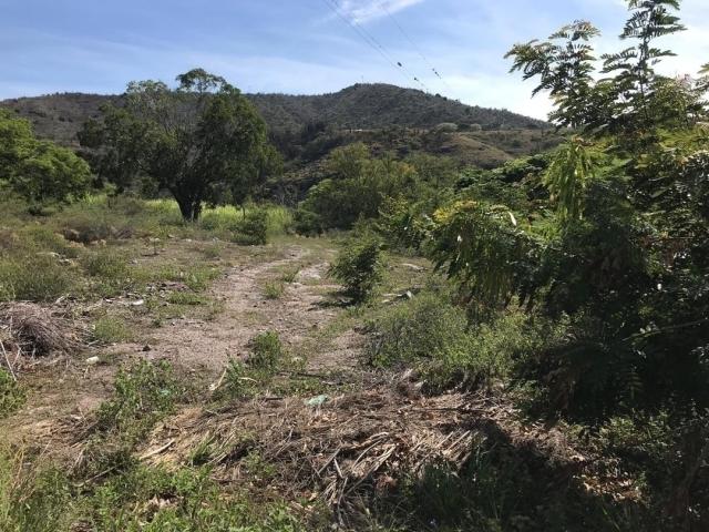 Área para Venta en Tabay - 4