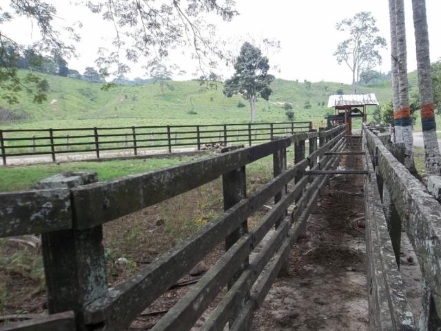 #37 - Granja  Finca para Venta en El Vigía - L - 2