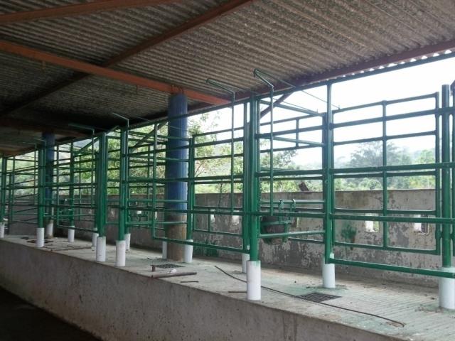 Granja  Finca para Venta en El Vigía - 5