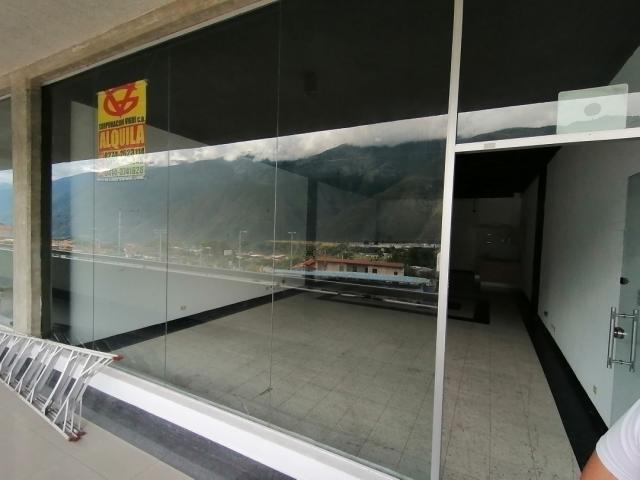 #41 - Punto Comercial para Venta en Ejido - L - 1