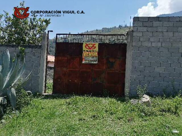 #82 - Área para Venta en Mérida - L